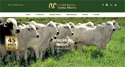 Desktop Screenshot of neloresantamaria.com.br